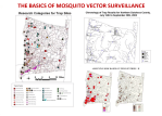 WNV0_Mosquitos