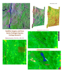 WNV7_SatelliteImagery