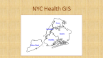 00_aNYCHealthGIS