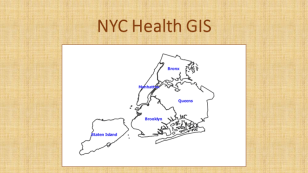 00_aNYCHealthGIS
