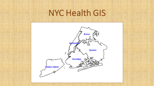00_aNYCHealthGIS