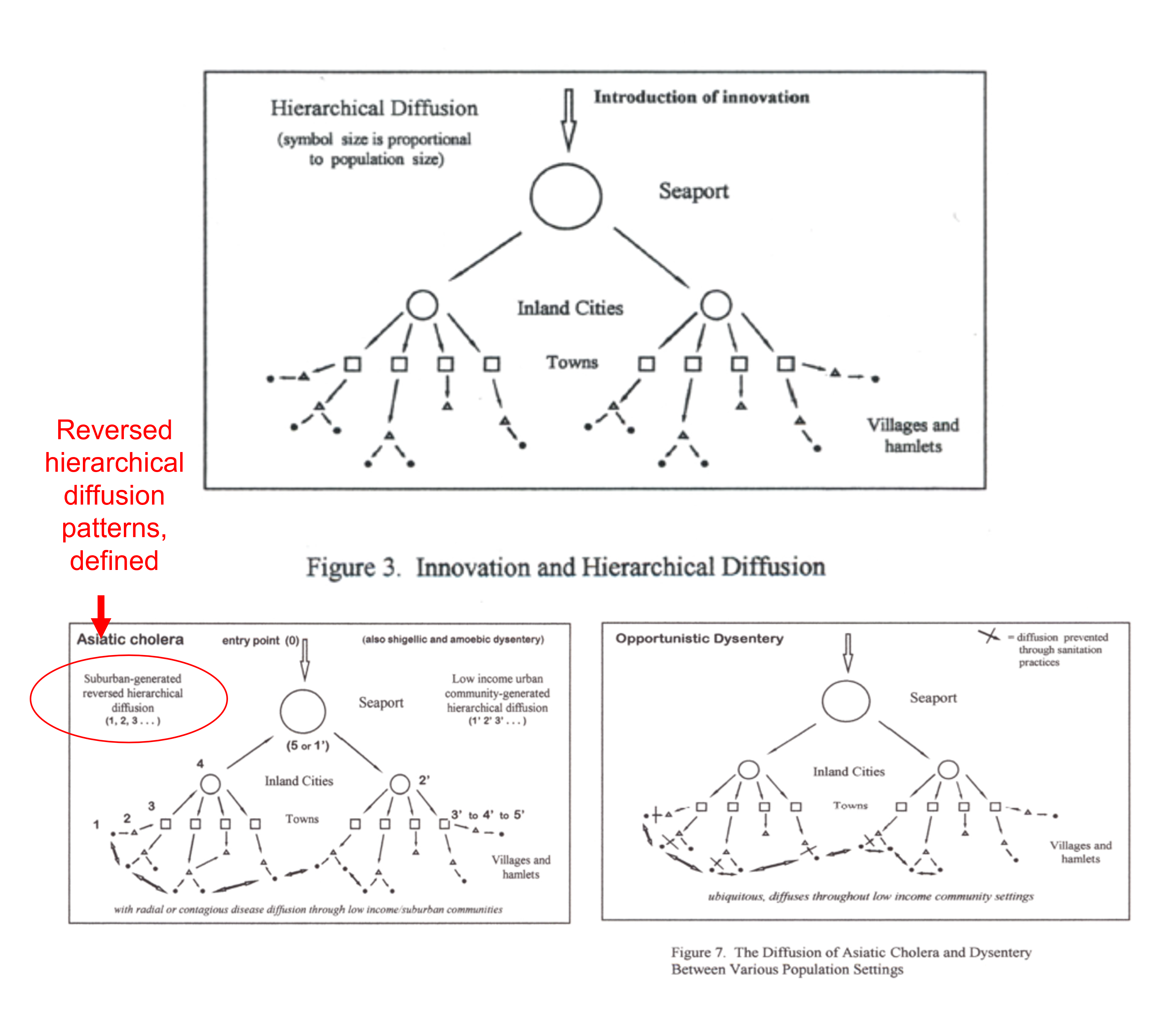 ReversedHierarchicalDiffusionPatterns2