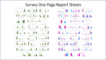 SurveyOnePageReportSheets